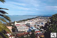 Napier City - Click To Enlarge