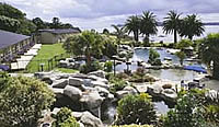 Copthorne Hotel & Resort Bay of Islands Pool Shot