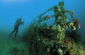 Diving the Rainbow Warrior Wreck