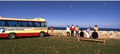 Feeding the seagulls, Hawkes Bay