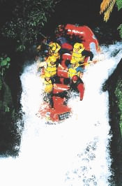 Rafting, Kaituna River, Rotorua
