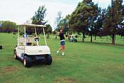 Golf Course, Waikato
