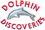 Dolphin Discoveries New Zealand