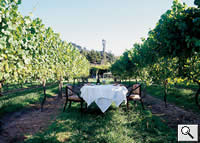Hotel Du Vin Dining in the Vines - Click To Enlarge