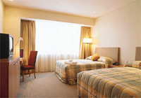 Rydges Auckland Twin Room