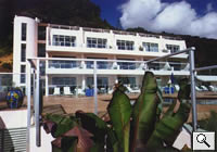 Paihia Beach Resort - Click To Enlarge