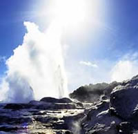 Rotorua Geothermal Wonders