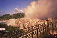 Rotorua Thermal Activity
