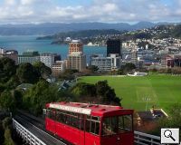 Wellington City View