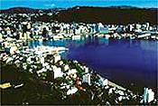 Oriental Bay
