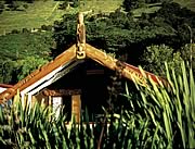 New Zealand Arts & Culture - Maori Marae
