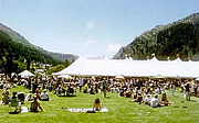 Food & Wine Festivals
