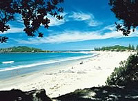 Tauranga