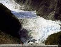 Franz Josef Glacier