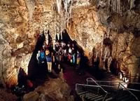 Waitomo Caves
