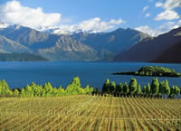 Wanaka