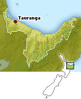 Bay of Plenty Map