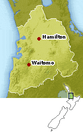 Waikato Map