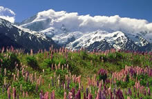 Mount Cook