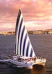 Pride catamaran