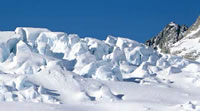 Fox Glacier