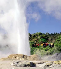Rotorua Geyser