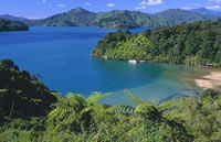 Queen Charlotte Sound