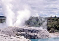 Whakarewarewa Thermal Reserve