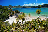 Bay Of Islands