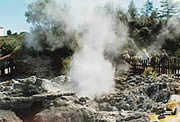 Whakarewarewa