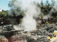 Whakarewarewa