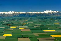 Canterbury Plains