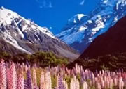 Mount Cook