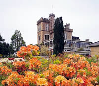 Larnach Castle In Full Bloom