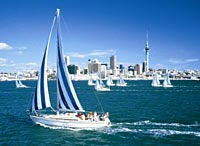 Auckland Coffee Cruise
