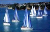 Auckland Lunch Cruise
