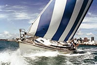 Auckland Sailing Experience