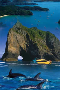 Discover The Bay