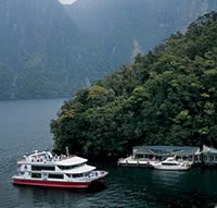 Milford Sound Scenic Cruise And Observatory