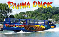 Paihia Duck