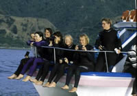 Dolphin Encounter Tour, New Zealand