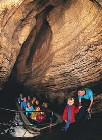 Te Anau Glowworm Caves