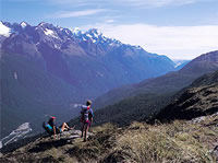 Hollyford Face